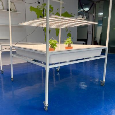 China Hot Sale ABS Hydroponic Drainage Tray 4x4 Flood Table 4x4 Movable Grow Table Drain Hole Flood Table for sale