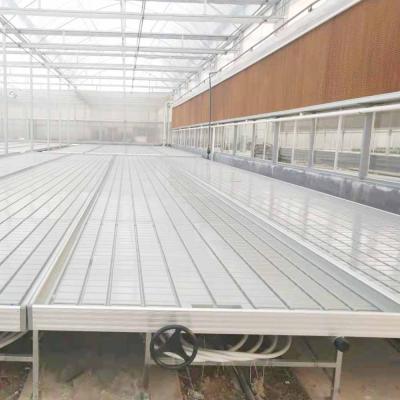 China Easily Assembled Easily Assembled Length Efficient Vegetable Fruits High Blossoms Agriculture Adjustable Movable Ebb And Flow Bench Systems Flood for sale