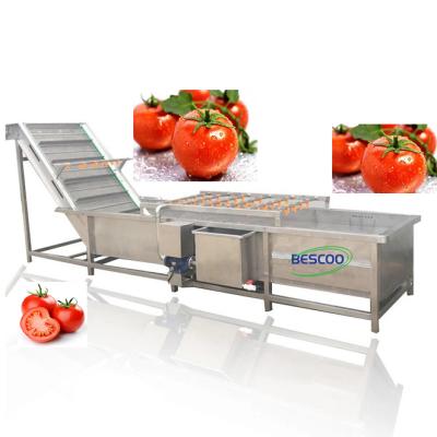 China Fruit processing plant tomato washing machine carrot vegetable cleaning machine for sale