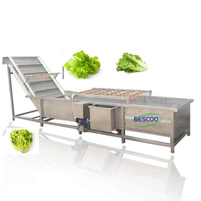 China Commercial Fruit Processing Plant Bubble Machine Lettuce Cleaning Washing Machine for sale