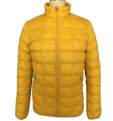 China 2021 Wholesale Ultra Light Mens QUICK DRY Packable Duck Nylon Winter Down Jacket for sale