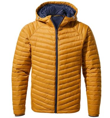 China Nylon Mens Winter Coat Short Ultra Light Hooded Duck Down Jacket for sale