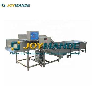 China High Efficiency Fruit Cleaning Machine Vegetable Washing Dates Apple Olive Strawberry Orange Mango Melon for sale