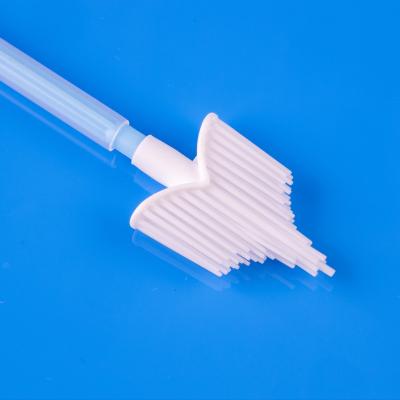 China Broom Head 8302-Disposable Cervical Brush for Cervical Cancer Screening for Cytology and HPV Testing with CE-ISO13485-Factory Price-China for sale