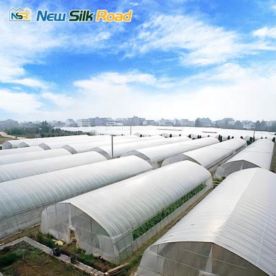 China Size Can Be Customized NSR Greenhouse Steel Frame Low Cost Galvanized Single-span Film Agricultural Greenhouse For Factory for sale