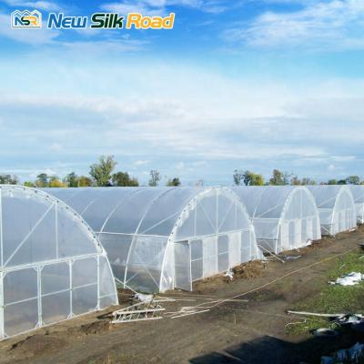 China Factory Price Sale Single Span NSR Greenhouse Single Span Gew Chshaus Garden Agricultural Greenhouse Hot Sale for sale