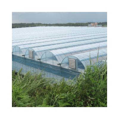 China Plastic Thrown Plastic Film NSR Greenhouse Manufacturers Multi-span Film Greenhouses With Irrigation System for sale