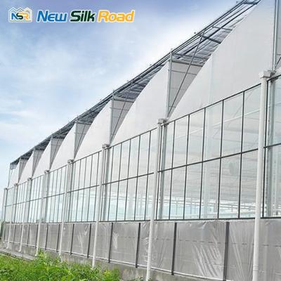 China Hot Sale Customized Plastic Sheet NSR Greenhouse Plastic Sheet Sawtooth High Quality Greenhouse for sale