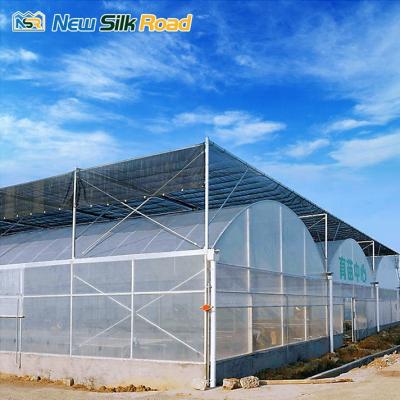 China Economic Plastic PE NSR Greenhouse Low Cost Greenhouse Greenhouse Plant Tunnel for sale