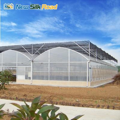 China Chinese Economic Plastic PE NSR Greenhouse Agriculture Green House for sale