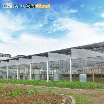 China Tropical NSR Greenhouse Economical Multi-span Agricultural Planting Greenhouse for sale