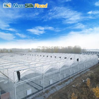 China Economic Plastic NSR Greenhouse Film Agricultural Double Planting Greenhouse for sale