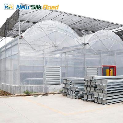 China Economic Plastic NSR Greenhouse Double Layer Arch Double Layer Film Agricultural Planting Greenhouse for sale