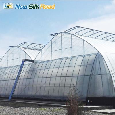 China Uzbekistan Greenhouse Fruit Vegetable Flowers NSR Greenhouse Economic Plastic Vegetable Greenhouse Issiqxona For Sale for sale