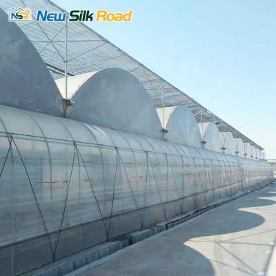 China Economic Plastic PE NSR Greenhouse Film Greenhouse Agricultural Issiqxona For Uzbekistan for sale