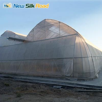 China High Quality Economic Plastic PE NSR Greenhouse Uzbekistan Greenhouse Vegetable Issiqxona for sale