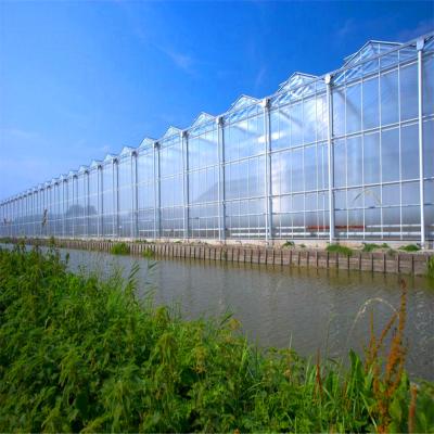 China Polycarbonate Sheet Arch Type Poly Film / PC Sheet Covered Steel Structure Greenhouse For Vegetables / Flowers / Fruits / Experiment / Eco Restaurant for sale