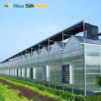 China Agriculture NSR Greenhouse Low Cost Economic Multi-span Polycarbonate Polycarbonate Greenhouse for sale