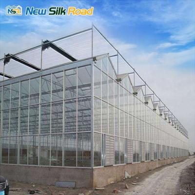 China Chinese Economic Agriculture NSR Greenhouse Multi-span Polycarbonate Agricultural Greenhouse for sale