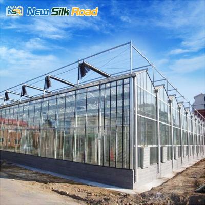 China Vegetable / Flower Planting NSR Greenhouse Low Cost Economic Multi-span Agricultural Glass Greenhouse for sale