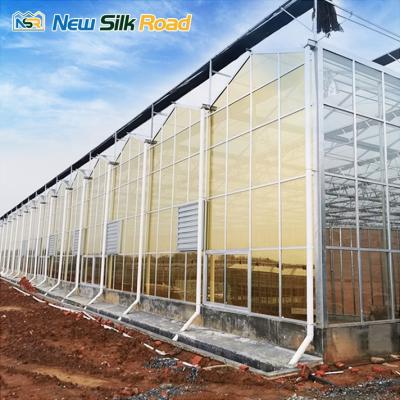 China Vegetable / Flower Planting NSR Greenhouse China Economic Multi-span Agricultural Glass Greenhouse for sale