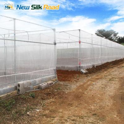 China Vegetable And Fruit Planting Agricultural NSR Greenhouse Cheap HDPE Insect Net Greenhouse For Africa Countries for sale