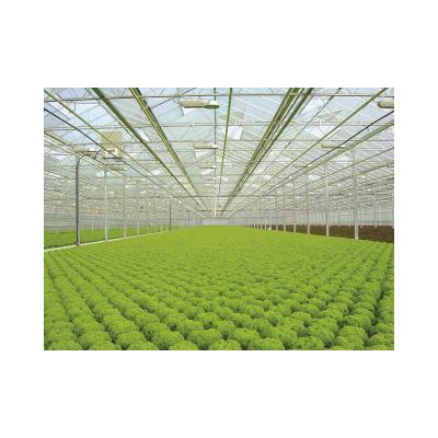 China New Listing High Density Agriculture PVC Dwc Soilless Hydroponic System for sale