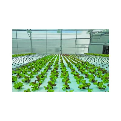 China New List High Density Agriculture PVC Soilless PVC Channel Growing For Hydroponic System for sale