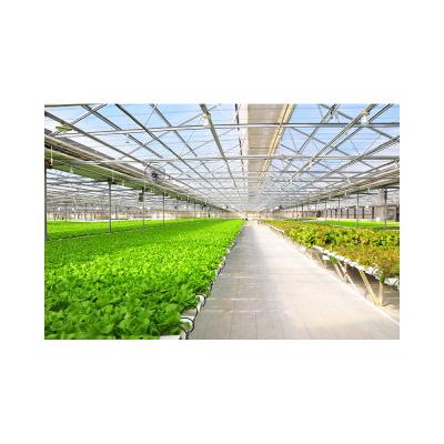 China Hydroponics Vegetables Hydroponic Wholesale Saving-Water Hydroponics Vegetables PVC System for sale