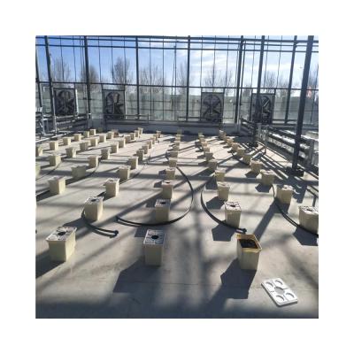 China Economic Vegetable Plant Outlet Rectangular Plastic Barrel System Hydroponic Dutch for sale