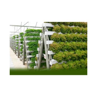 China Professional Design Wholesale Grow Strawberry Professional Design Food Grade PVC Types Hydroponic Systems for sale