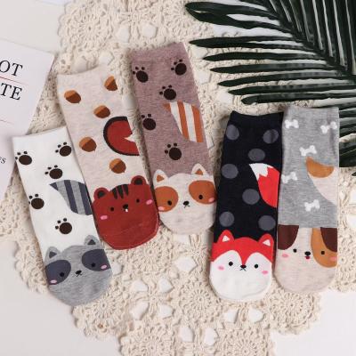 China Antibacterial In Stock High Quality Cotton Women's Fashion 3D Socks Cute Animal Fox Dog Bone Pattern Crew Socks for sale