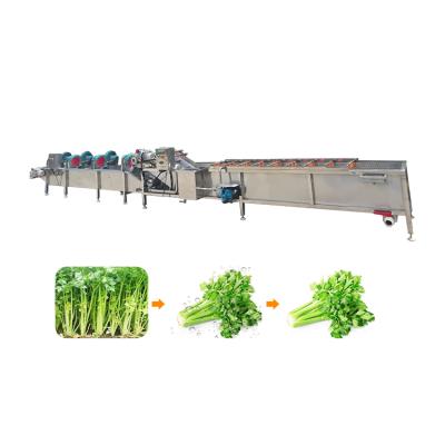 China High Efficiency Fresh Vegetable Industrial Fruits Cleaning Drying Processing Machinery Dried Dates Washing Machine For Sale for sale