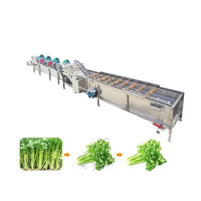 China High Efficiency Vegetable Washing And Drying Machine for sale