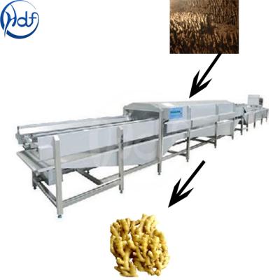 China Easy Operation Ginger Machine Taro Cleaning Machine Bubble Cleaning Line for sale