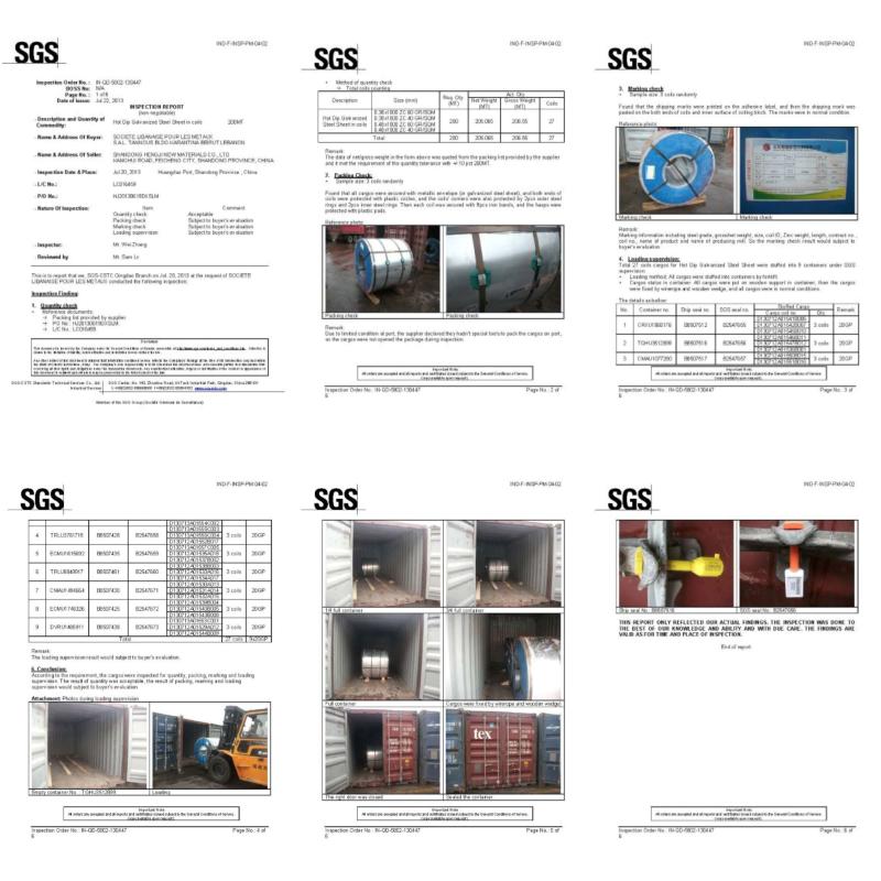 SGS Loading supervision - Shandong Decho Building Materials Technology Co., Ltd