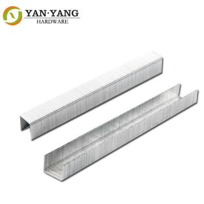 China Furniture hardware 22 gauge industry staples 1308 length 8 mm for sale