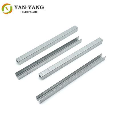 China Furniture hardware length 10 mm 22 gauge upholstery staples 7110 for sale