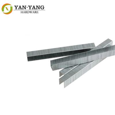 China 21 Gauge 80 Series Staples Galvanized Wire Staple For Furniture  8012 for sale