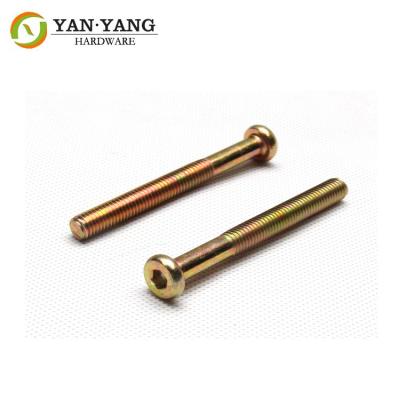 China Furniture Accessory Non-standard custom flat head inner hexagon screw for sale