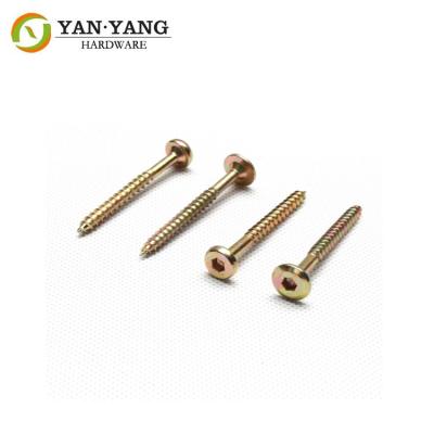 China Furniture Accessory flat head inner hexagon screw hardware for sale