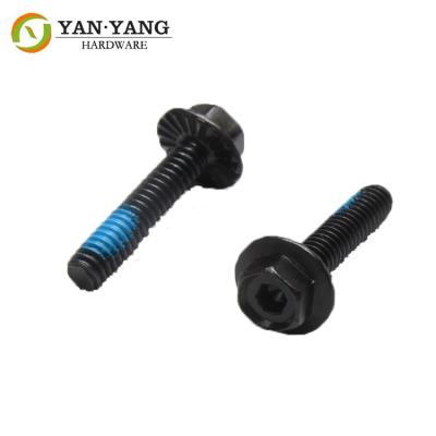 China Black flange head screws with socket head screws furniture part for sale