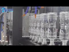 4000BPH Bottle Blowing Machine