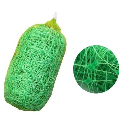 China Plant Support of Growing Grid PP Climbing Plant Support Net, Cucumber Net Used for Garden Plant Climbing for sale