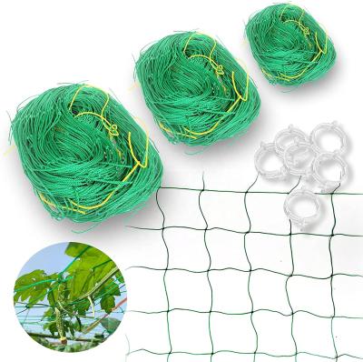 China Hi-Quality Nylon Climbing Garden Plant Support Netting Loofah Morning Glory Flowers Vine Plants Climbing Net for sale