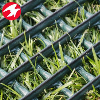 China UV Proof Plastic Turf Reinforcement Mesh With Grass Protection for sale