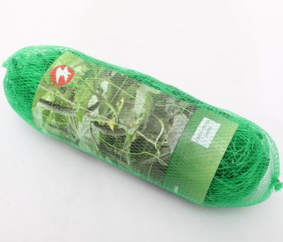 China Reusable UV Protection Extruded Plastic Pea and Bean Plant Support Cucumber Climbing Trellis Netting for sale