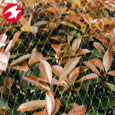 China 100% Plastic HDPE Fishing Cast Net Protection Tree Mesh for sale