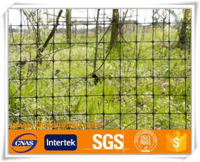 China Easily Collected Plastic Anti Bird Taking Deer Fence Netting PUNCH Stretched Mesh Netting for sale