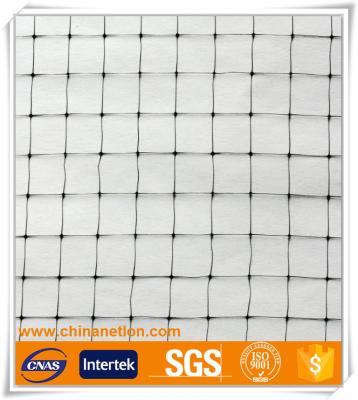 China Plastic Polypropylene PP Anti Bird Net With UV Treated PUNCH Stretch Net for sale